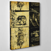 Leonardo Da Vinci - Studio di Anatomia - Medicina Chirurgia